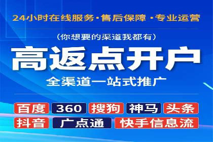 SEM搜索引擎优化：广告创意的策划与执行